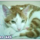 간석3동-1 이미지