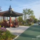 그늘막59 이미지