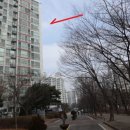 그린빌7단지 이미지