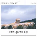 함평이야기 | 함평 파충류생태공원 직접 다녀온 이야기