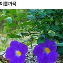 아침에 부지런한 에밀스 하트 쏘시고 ~신나는 월요일 되세요 ^^ 이미지