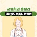 영주시안정면보건지소 | 경상북도 영주시 안정면 교정치과 총정리
