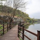 쑥부쟁이(용산저수지)둘레길 이미지