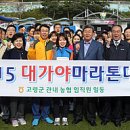 (주)대가야