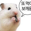 복주부쭈꾸미