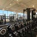 피트니스 일레븐 이미지