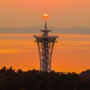 스카이타워 이미지