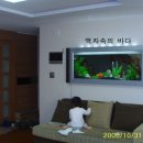 라성수족관