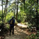 칠보산숲길 이미지