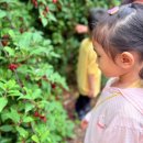 소슬농장 이미지