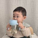 빨대소리 | 빨대컵 PPUS 아기 원터치 빨대컵 사용 후기