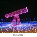 빛나는 파도의 춤 빛 이미지