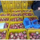 남선농장 이미지