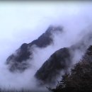 밥식이 Daum카페