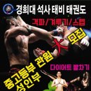 경희대 석사 태비 태권도 네이버블로그