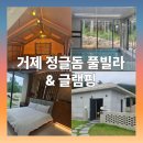 외간정글돔하우스 | [내돈내산] 거제 가볼 만한 곳 거제 애견 동반 정글돔풀빌라&amp;글램핑🍾숙박 후기