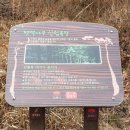 월전로 3 네이버블로그