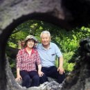 행복을파는장사꾼 이미지