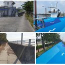 아암대로 이미지