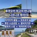 후쿠오카 이토시마 반나절 투어 후기니코니코투어로 인생샷 명소 투어