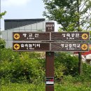 2017년 7월 25일(화) 2탄! 숲속을 걸어요~ 맑은 바람 솔바람 이는~ 광교산을 걸어요~ 이미지
