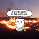 홈런성인오락실 | 🩵7월