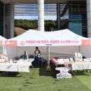 요요정원 이미지