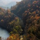 미르유치원 이미지