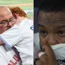 고맙다, 까치새 이미지