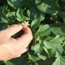 태산농장 이미지