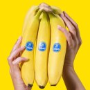 바나나 이미지
