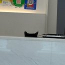 아이힐 동물병원 이미지