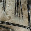 르칼피아 이미지