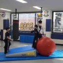 수룡관 박사 합기도 이미지