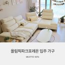 포레온 동물병원 | 올림픽파크포레온 입주가구 밀로티 소파가 좋은 이유