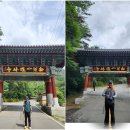 도림사계곡 이미지