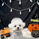 주흥15길 16-1 이미지