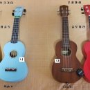 우크&기타 이미지