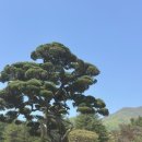 두메산골펜션 이미지