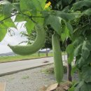 수산교(북쪽) 이미지