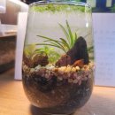 종생농장 이미지