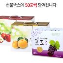 늘햇살농원 이미지