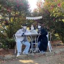 대우정식당 이미지