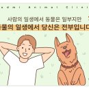 봉곡동물병원 이미지