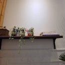 샌드블랑 이미지