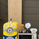 신한은행 부평점 | 부천 돌잔치 블루미하우스 부천소규모돌잔치 인천돌잔치 부평돌잔치 인천스몰웨딩 뷔페맛집