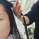 태호 | 발산역 미용실 라몽드 모발클리닉 후기 (태호 원장님)