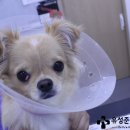 유성준동물병원 이미지