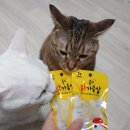 웁스 이미지