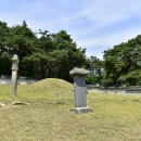 이의정정문 이미지